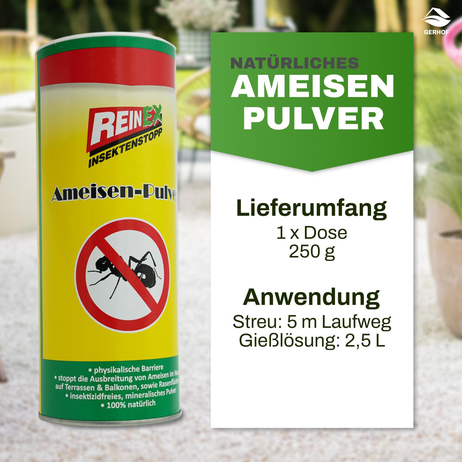 Reinex 250g, Ameisenpulver, Ameisenmittel, Ameisen Streumittel, Mittel gegen Insekten, zum Streuen und Gießen Ameisenstopp, Ameisenköder für den Innen und Außenbereich geeignet